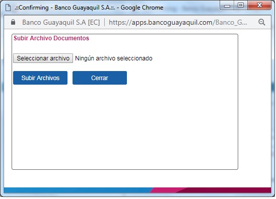 Carga_pro_archivo.jpg